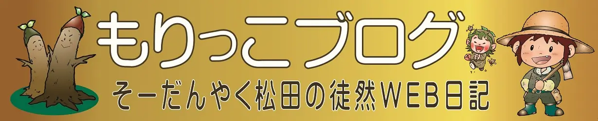 blog banner
